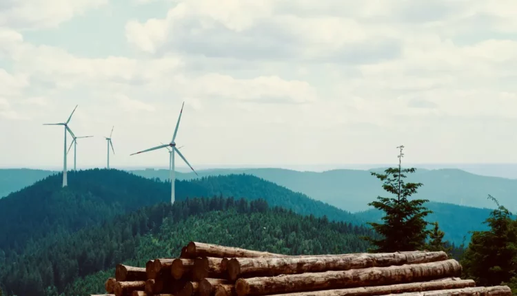 Windpark im Reinhardswald Märchenwald Energiewende