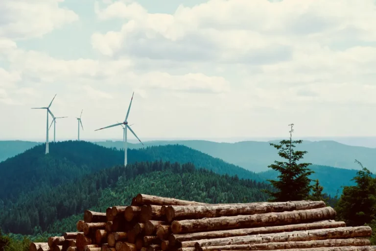 Windpark im Reinhardswald Märchenwald Energiewende