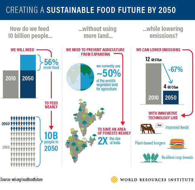 World Resources Institute Clean Food