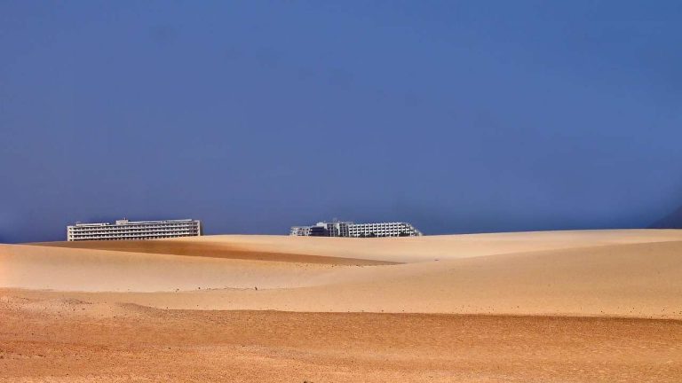 Wüstenbildung Desertifikation wird zum Problem für die Ernährung weltweit