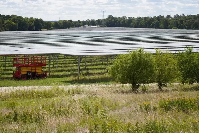 Deutschlands größte Agri-PV-Anlage geht neben dem BER ans Netz