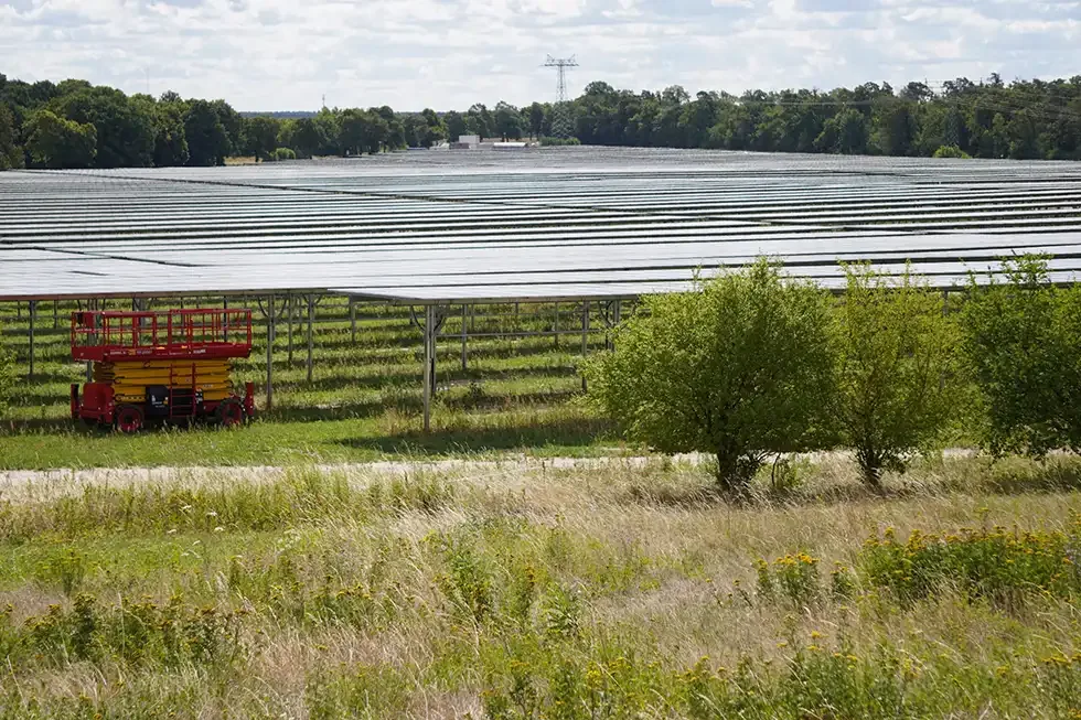 Deutschlands größte Agri-PV-Anlage geht neben dem BER ans Netz