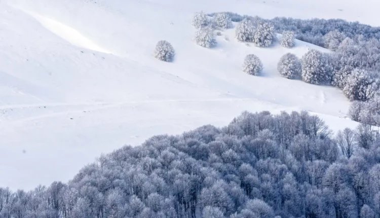 ahrhundertwinter-polarwirbel-2026-winter-wetter-deutschland