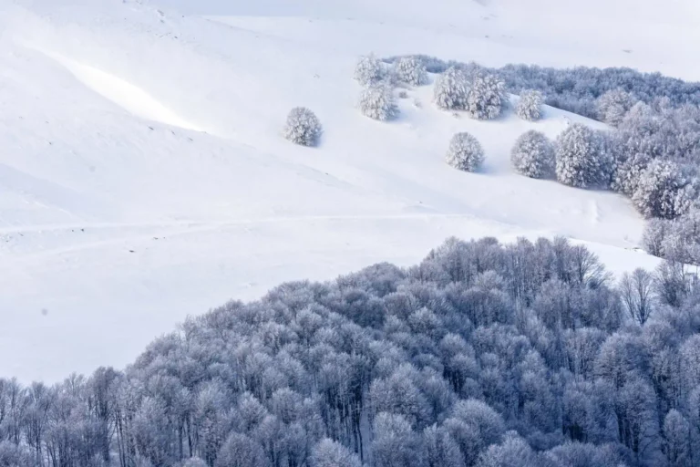 ahrhundertwinter-polarwirbel-2026-winter-wetter-deutschland