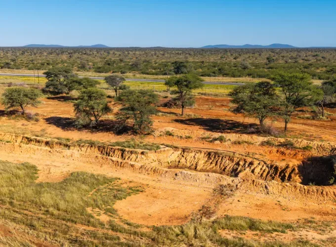 Größter Biomasse-Deal Europas: 50.000 Tonnen CO2 aus Namibia