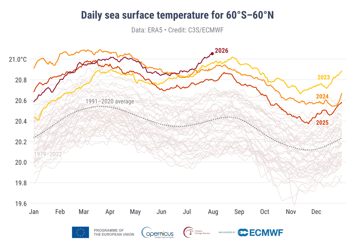 Tägliche Meeresoberflächentemperatur der außerpolaren Ozeane mit Rekordwert im Juli 2026