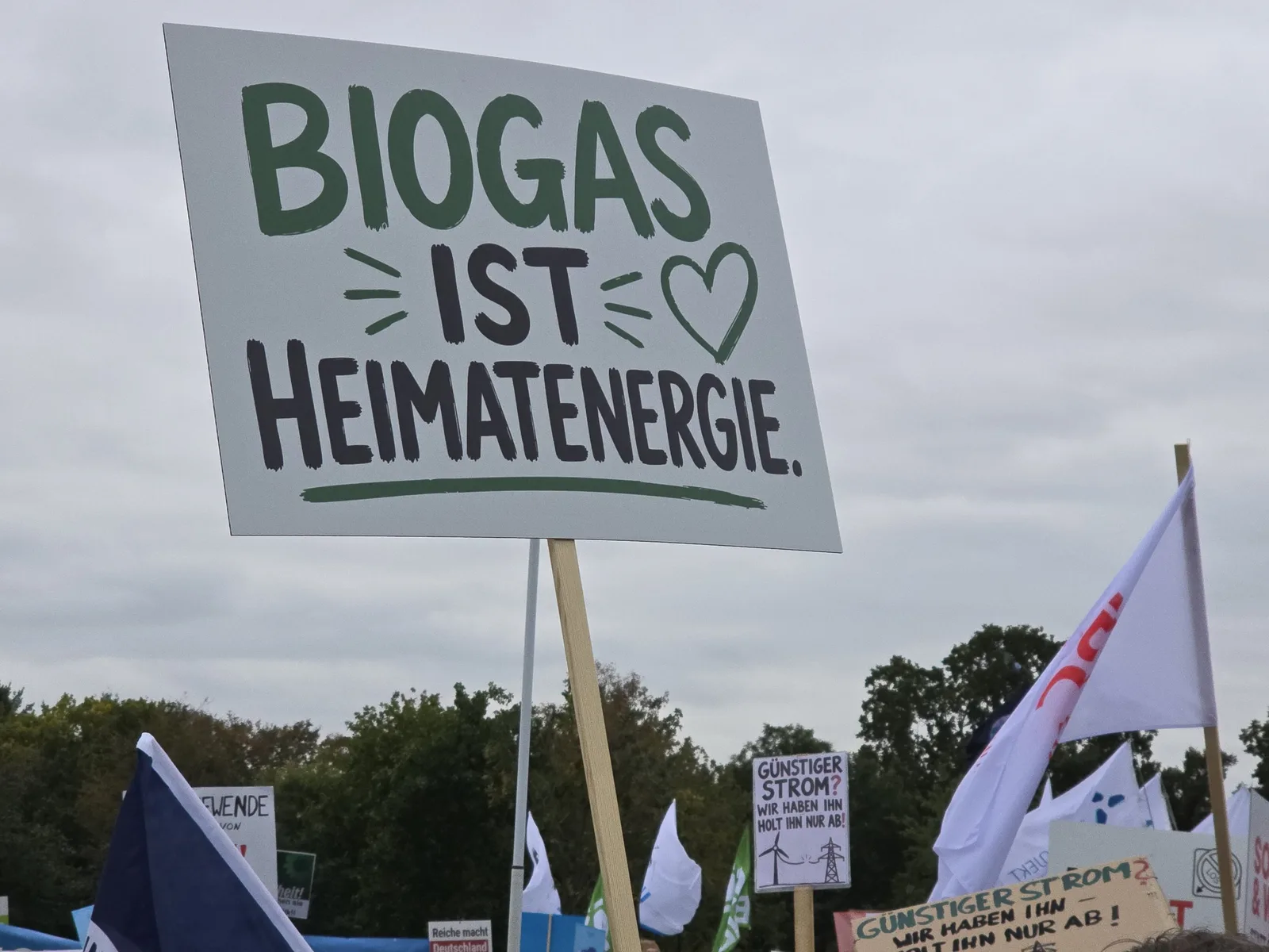 demo-erneuerbare-biogas-heimatenergie-schild Schild „Biogas ist Heimatenergie“ auf der Demonstration für Erneuerbare Energien vor dem Reichstag in Berlin
