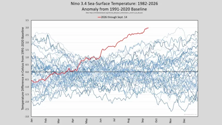 13 von 14 Klimamodellen sehen El Niño auf Rekordkurs
