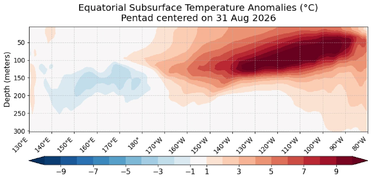 Tiefenschnitt der Temperaturanomalien im äquatorialen Pazifik, Ende August 2026