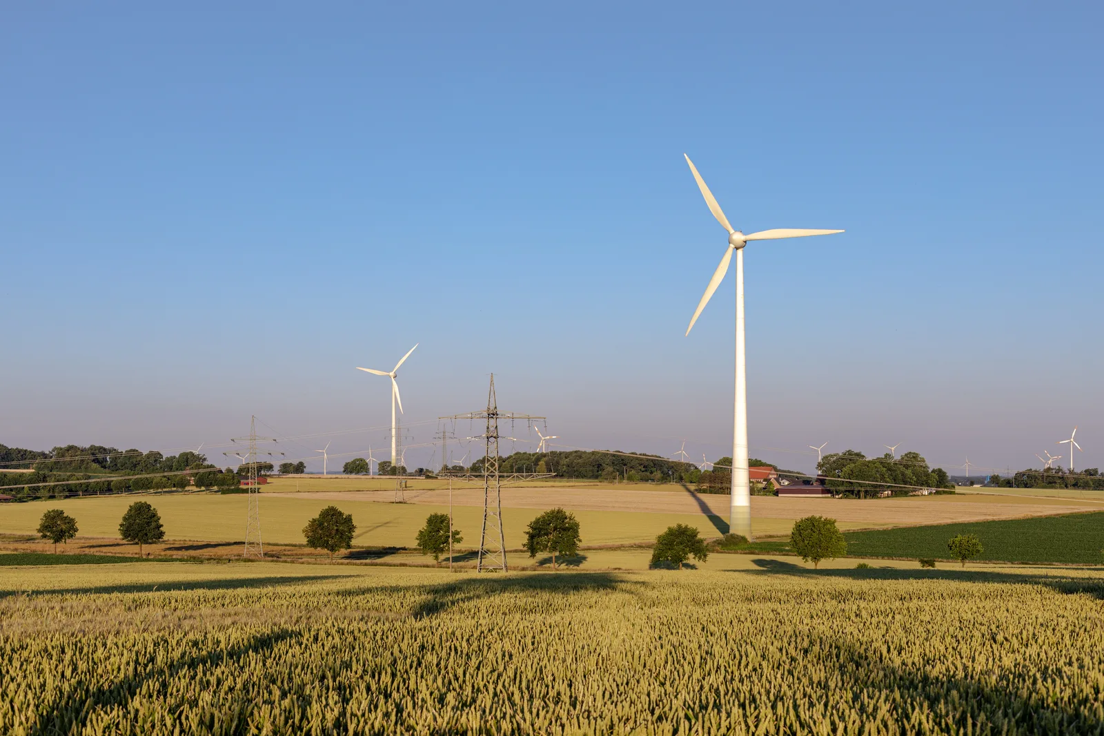 Windkraftanlagen und Stromleitungen über einem Getreidefeld bei Coesfeld im Münsterland