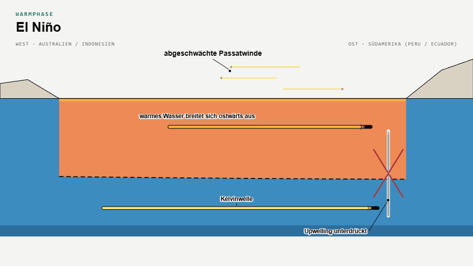 Schema El Niño: abgeschwächte Passatwinde, warmes Wasser breitet sich nach Osten aus, Upwelling unterdrückt