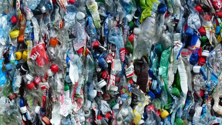 EU-Verpackungsverordnung: Zwischen Rezyklatpflicht und Prüflücke