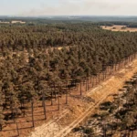Feuerwetter: Die Zahl hinter Europas Bränden