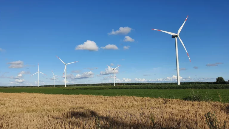 Grenzüberschreitende Strompreiszone: Norddeutschland und Dänemark planen gemeinsamen Markt