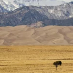 Heat Dome und WMO-Warnung: Rekordhitze bis 2030 fast sicher