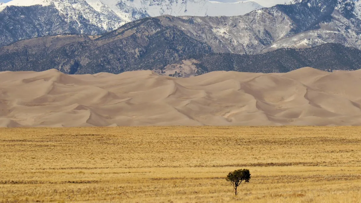 Einzelner Baum vor Sandduenen und schneebedeckten Bergen, Sinnbild fuer Duerre und Klimawandel