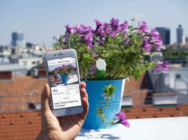 helloplant bei Kickstarter für Pflanzen im Smart Home