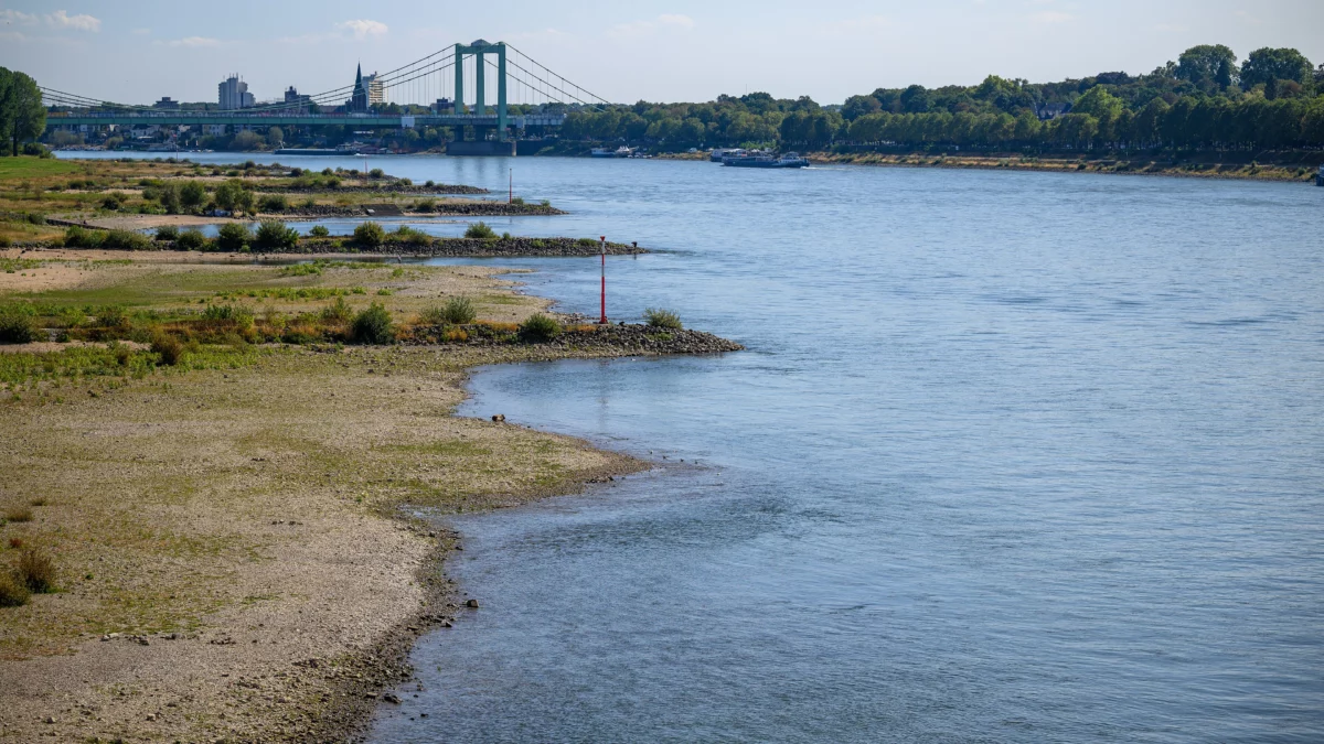 Ausgetrocknetes Rheinufer in Köln im September 2022 nach wochenlanger Hitze und Trockenheit, wie sie eine Hitzeglocke auslösen kann