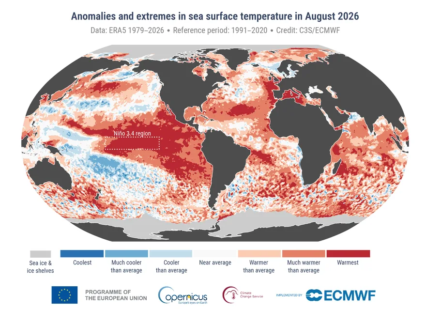 Weltkarte der Meeresoberflächentemperatur-Abweichungen im August 2026 mit Rekordwerten im äquatorialen Pazifik, Nordatlantik und westlichen Mittelmeer