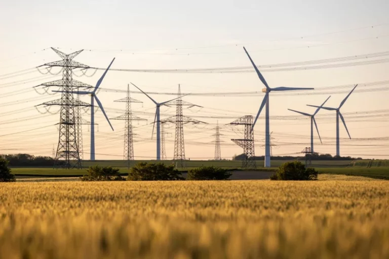 Amprion gründet eigene KI-Firma für die Energiewende