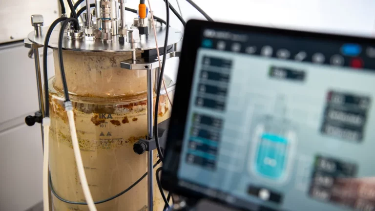 Kunststoff aus Bioabfall: EveryCarbon siegt bei SPRIND