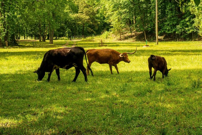 Methan Tracker Report 2023 IEA
