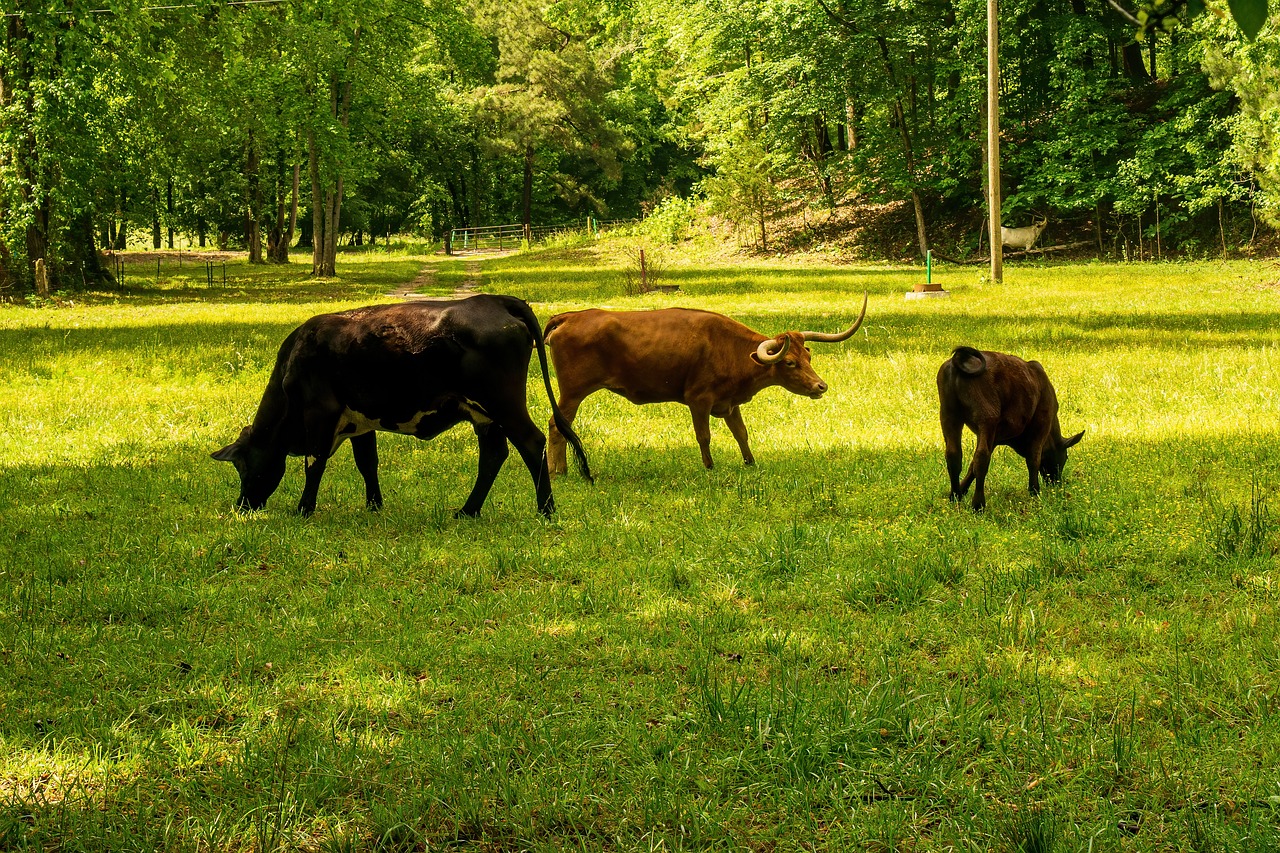 Methan Tracker Report 2023 IEA