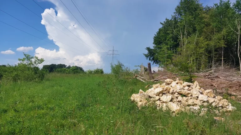 Schneise der 110-kV-Leitung an der Sontheimer Höhle mit Lesesteinhaufen und Totholz am Trassenrand