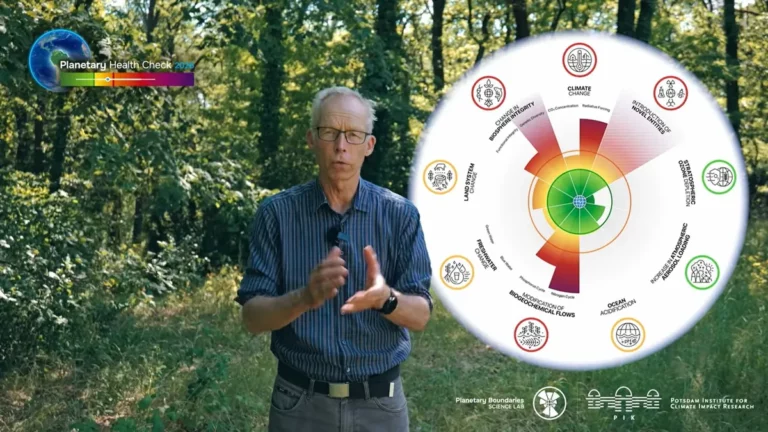 Wälder und Böden puffern den Klimawandel weniger verlässlich als bisher