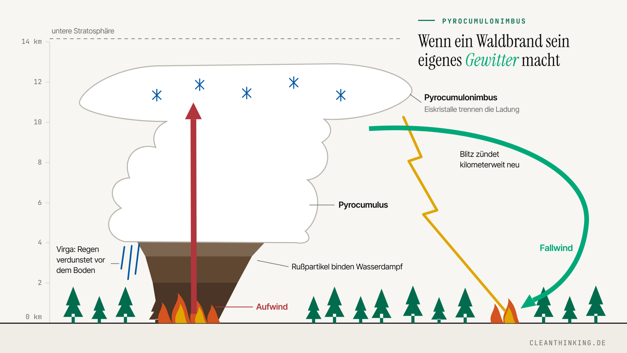 Schema: Wie ein Pyrocumulonimbus entsteht, vom Bodenfeuer über die Rauchsäule bis zu Blitz und Fallwind