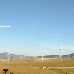 Spaniens Erneuerbare halten die Strompreise trotz Gaskrise niedrig