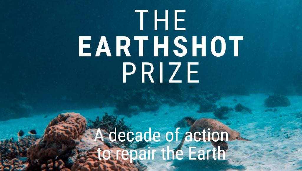 The Earthshot Prize Prinz William Klinakrise