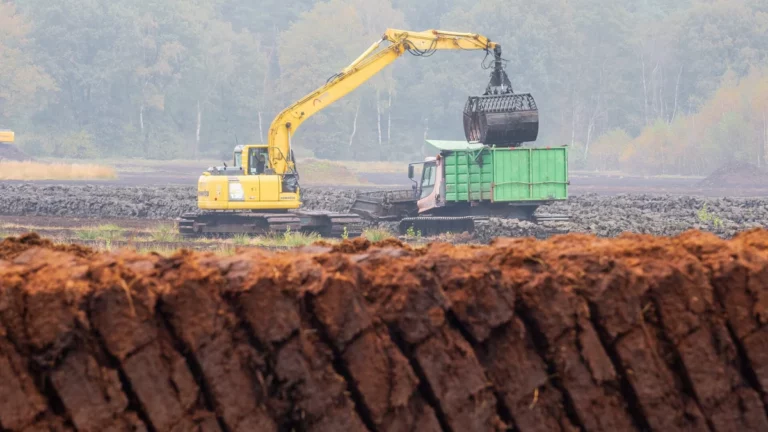 Erdenwerke mischen Holz, Rinde und Kompost statt Torf in die Blumenerde