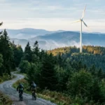 Der Stromrebell und der teure Staatswald