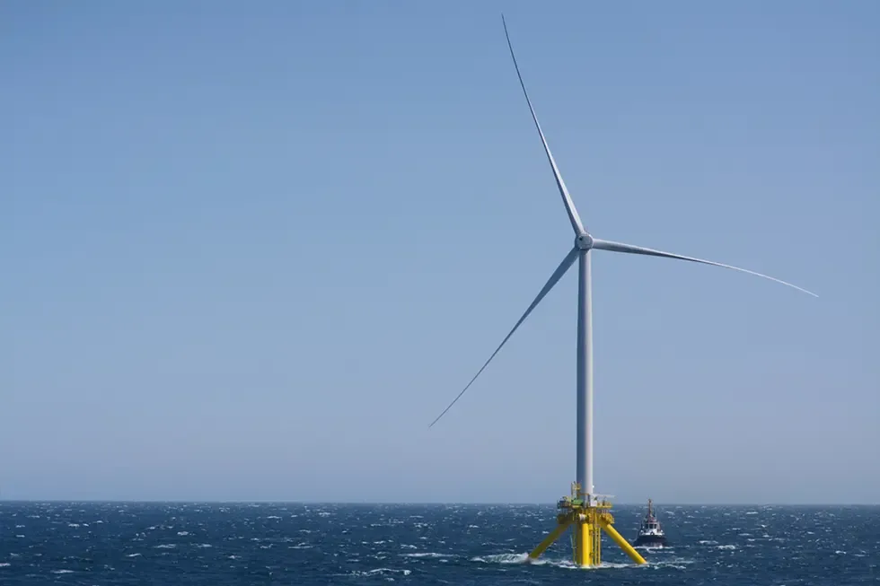 Mitten in der Klimakrise: Trump kauft RWE aus der Windkraft frei